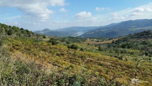 Paysage Felluns