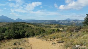 paysage Felluns
